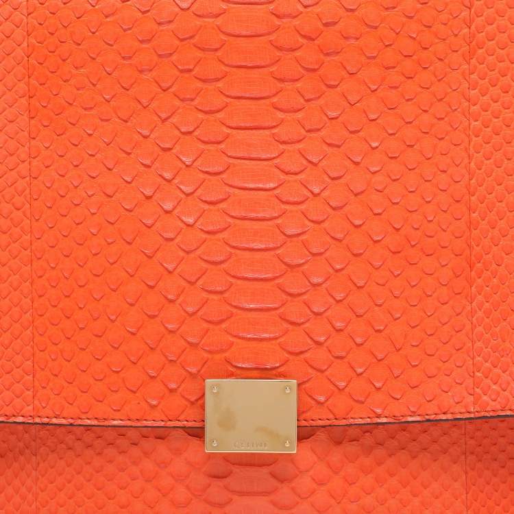 Pre Owned Celine Orange Python and Suede Medium Trapeze Bag