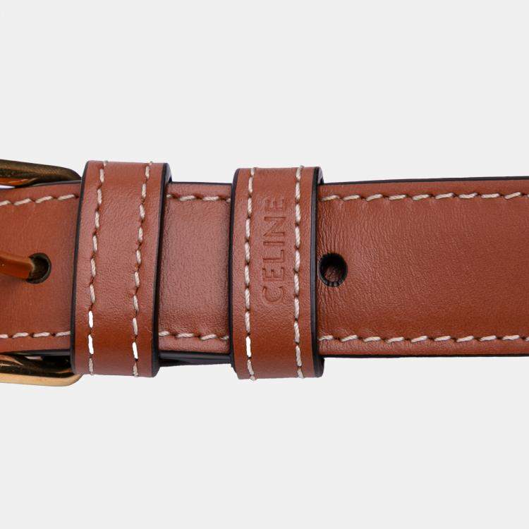 Pre Owned Celine Brown Classique Triomphe Coated Canvas and Calfskin Triomphe Crossbody
