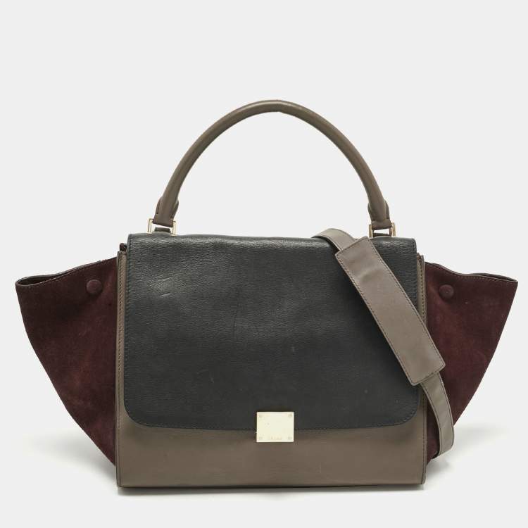 Pre Owned Celine Multicolor Leather and Suede Medium Trapeze Top Handle Bag