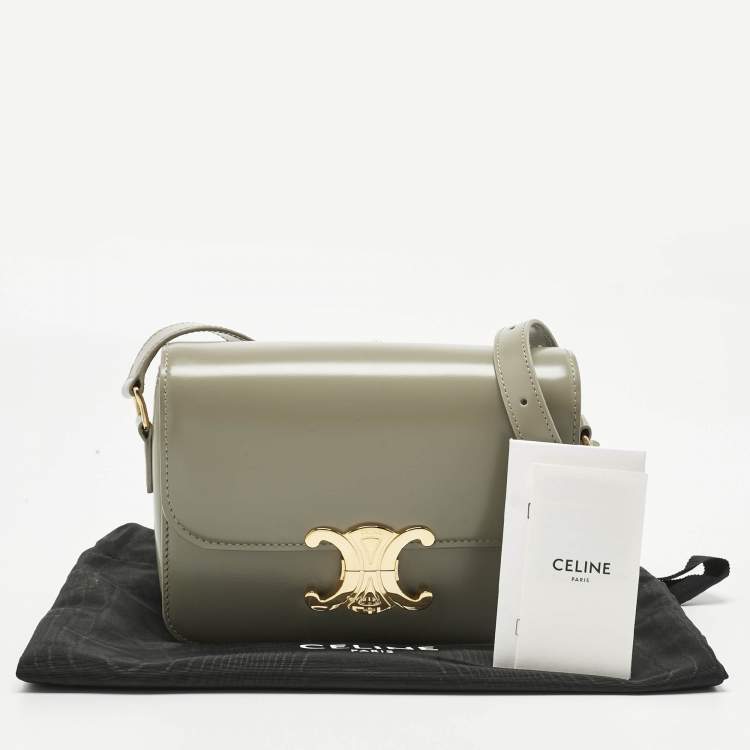 Pre Owned Celine Pistachio Green Leather Teen Triomphe Shoulder Bag