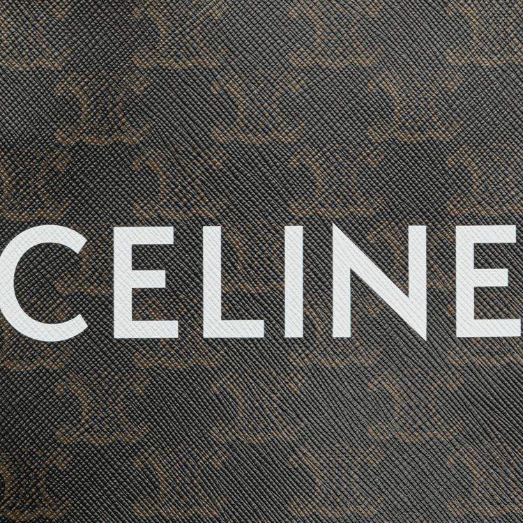 Pre Owned Celine Brown Mini Triomphe Coated Canvas Vertical Cabas Satchel