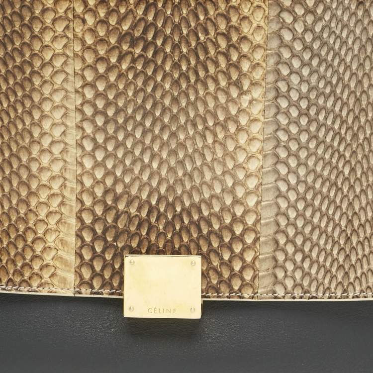 Pre Owned Celine Tricolor Leather and Snakeskin Small Trapeze Top Handle Bag