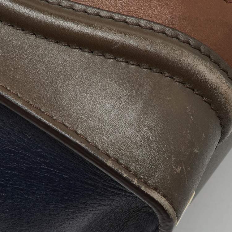 مملوكة مسبقًا Celine Multicolor Leather Mini Luggage Tote