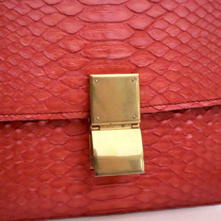 مملوكة مسبقًا Celine Medium Python Box Bag