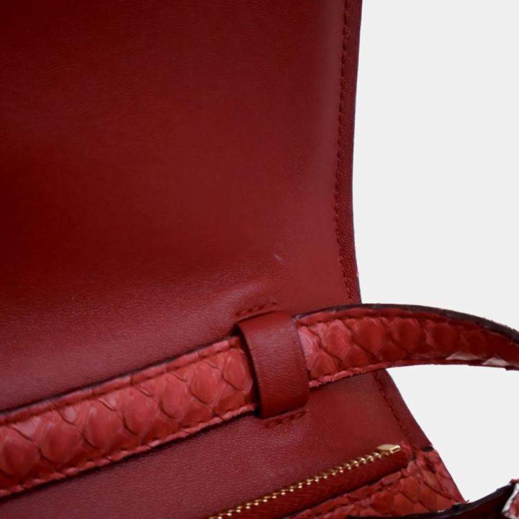 مملوكة مسبقًا Celine Medium Python Box Bag