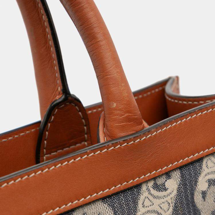 Pre Owned Celine Blue Small Triomphe Canvas Maillon Vertical Cabas Satchel