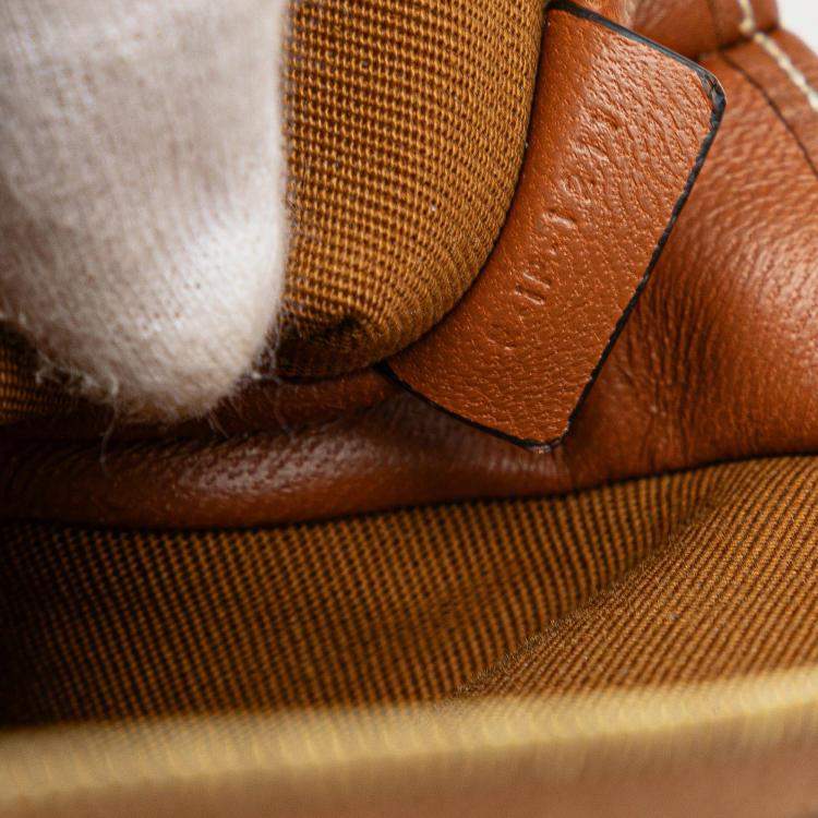 Pre Owned حقيبة كتف على سلسلة سيلين تريومف قماش مطلي بني