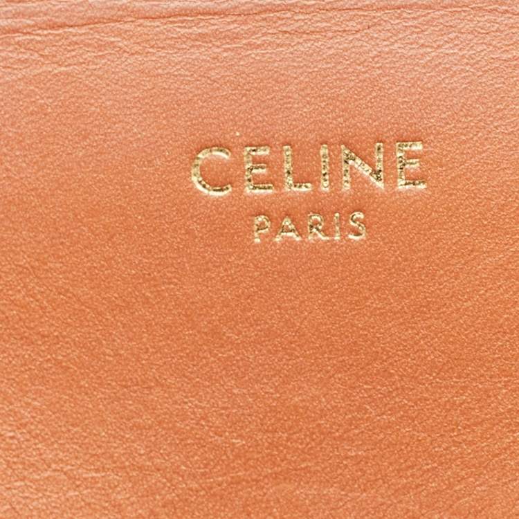 Pre Owned Celine Brown/Cream Raffia and Leather Crecy Bucket Bag