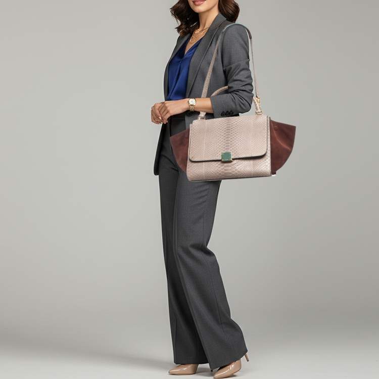 Pre Owned Celine Trapeze Medium Grey/Burgundy Python and Suede Top Handle Bag