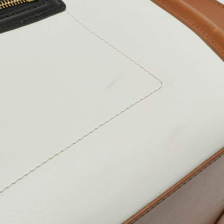 Pre Owned Celine Luggage Multicolor Leather Tote