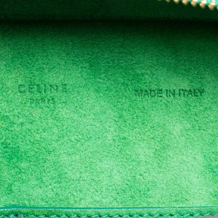 Pre Owned Celine Green Python and Leather Small Trapeze Bag