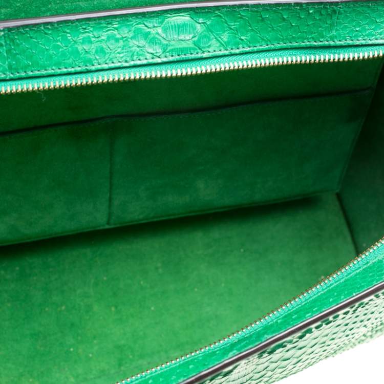 Pre Owned Celine Green Python and Leather Small Trapeze Bag