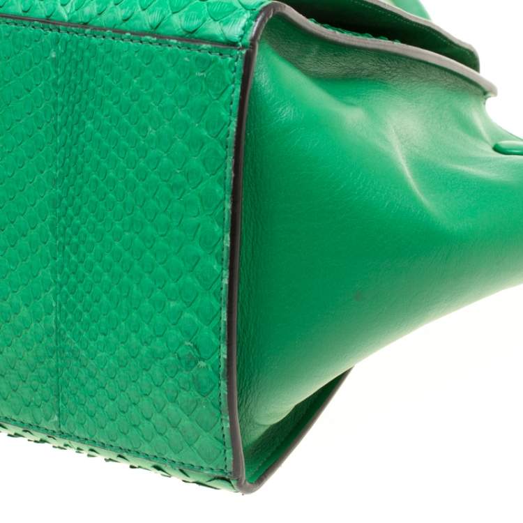 Pre Owned Celine Green Python and Leather Small Trapeze Bag