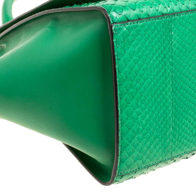 Pre Owned Celine Green Python and Leather Small Trapeze Bag
