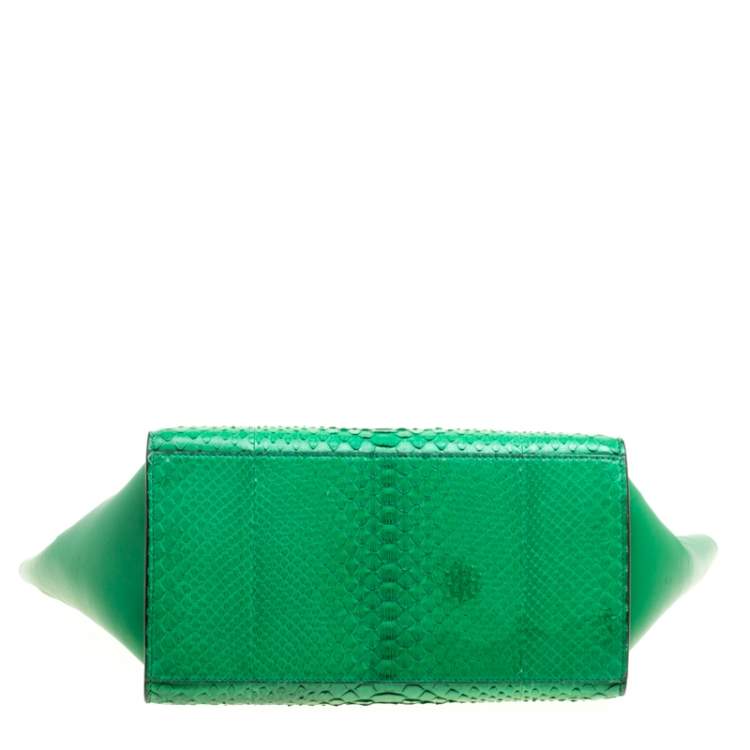 Pre Owned Celine Green Python and Leather Small Trapeze Bag