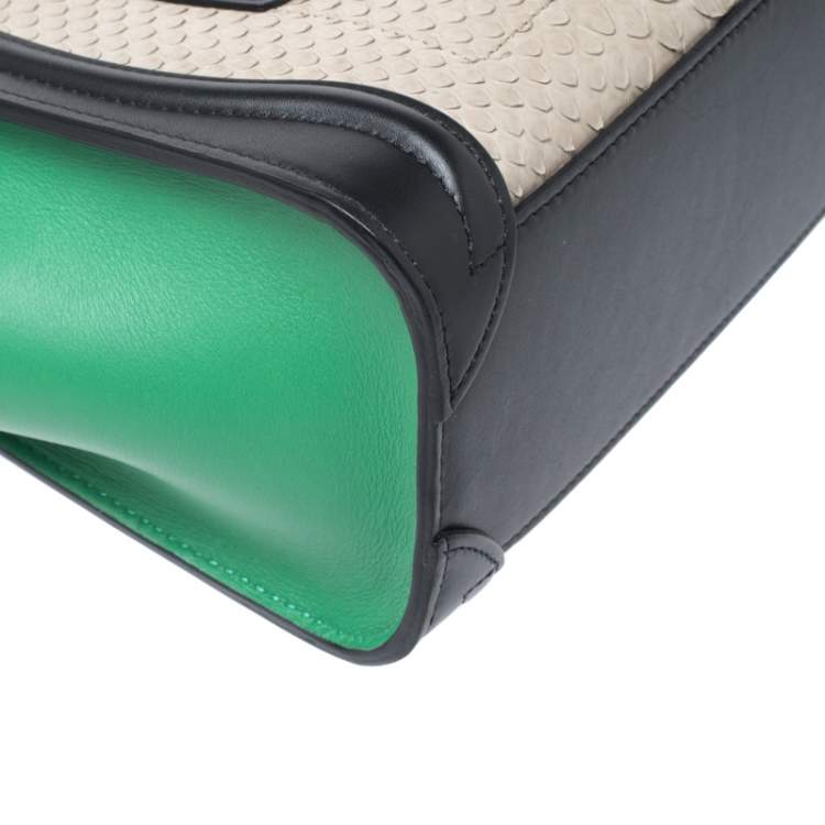 Pre Owned Celine Multicolor Python and Leather Nano Luggage Tote