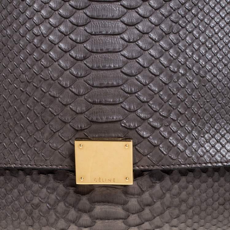 Pre Owned Celine Burgundy/Grey Python and Suede Medium Trapeze Tote