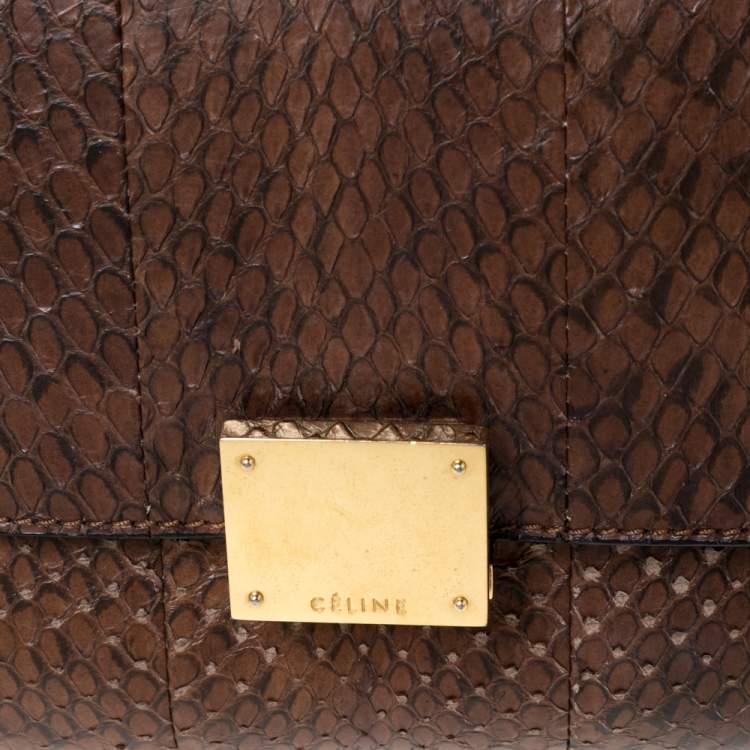 Pre Owned Celine Black/Brown Leather and Python Medium Trapeze Top Handle Bag