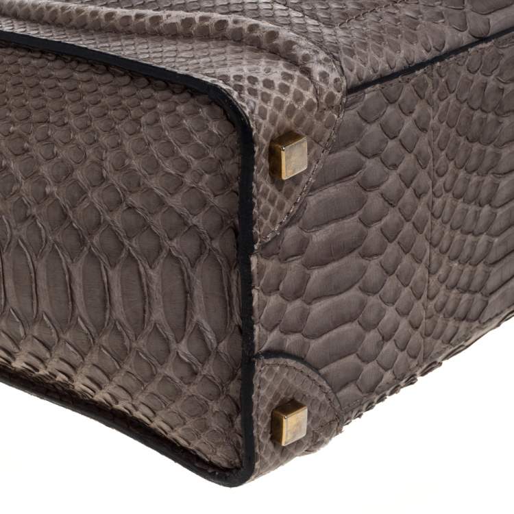 Pre Owned Celine Grey Python Micro Luggage Tote