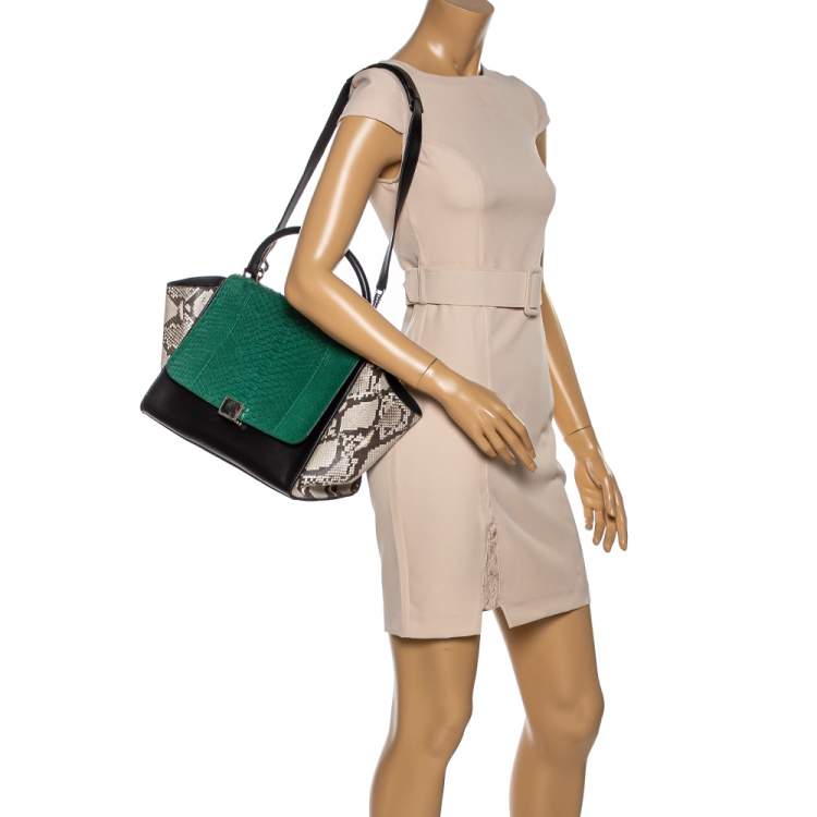 Pre Owned Celine Multicolor Python and  Leather Medium Trapeze Bag
