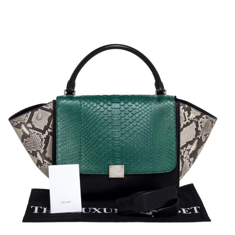 Pre Owned Celine Multicolor Python and  Leather Medium Trapeze Bag