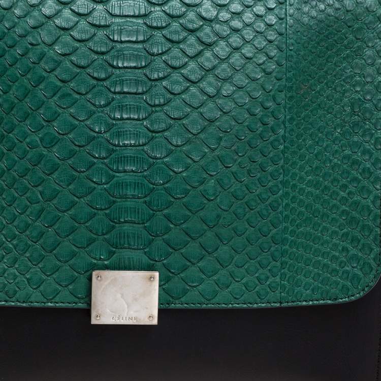Pre Owned Celine Multicolor Python and  Leather Medium Trapeze Bag