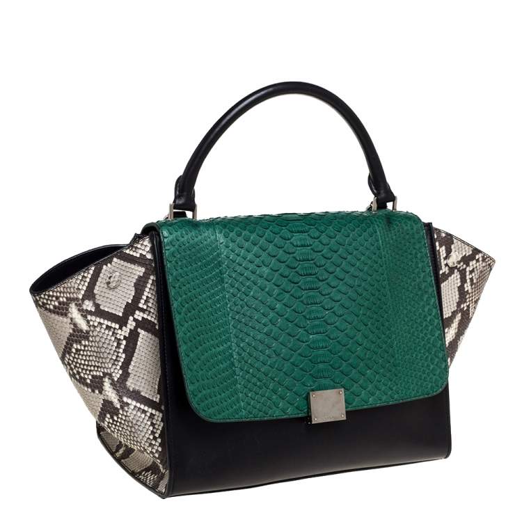 Pre Owned Celine Multicolor Python and  Leather Medium Trapeze Bag