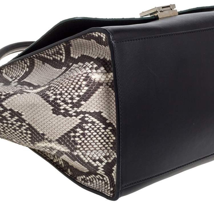 Pre Owned Celine Multicolor Python and  Leather Medium Trapeze Bag