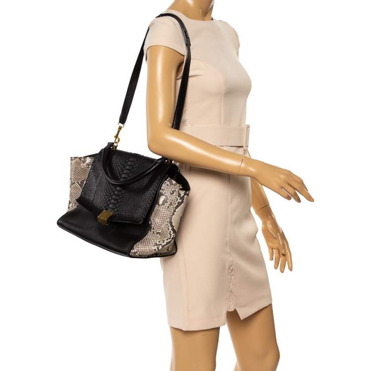Pre Owned Celine Multicolor Leather and Python Medium Trapeze Top Handle Bag