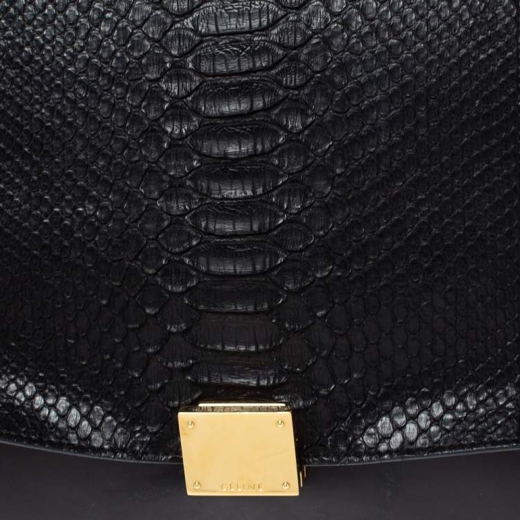 Pre Owned Celine Multicolor Leather and Python Medium Trapeze Top Handle Bag