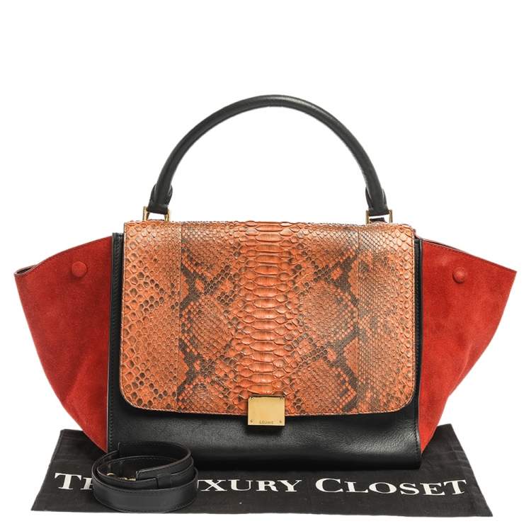 Pre Owned Celine Multicolor Python,Suede and Leather Medium Trapeze Top Handle Bag