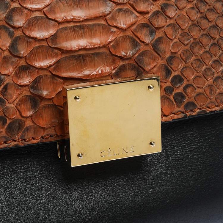 Pre Owned Celine Multicolor Python,Suede and Leather Medium Trapeze Top Handle Bag