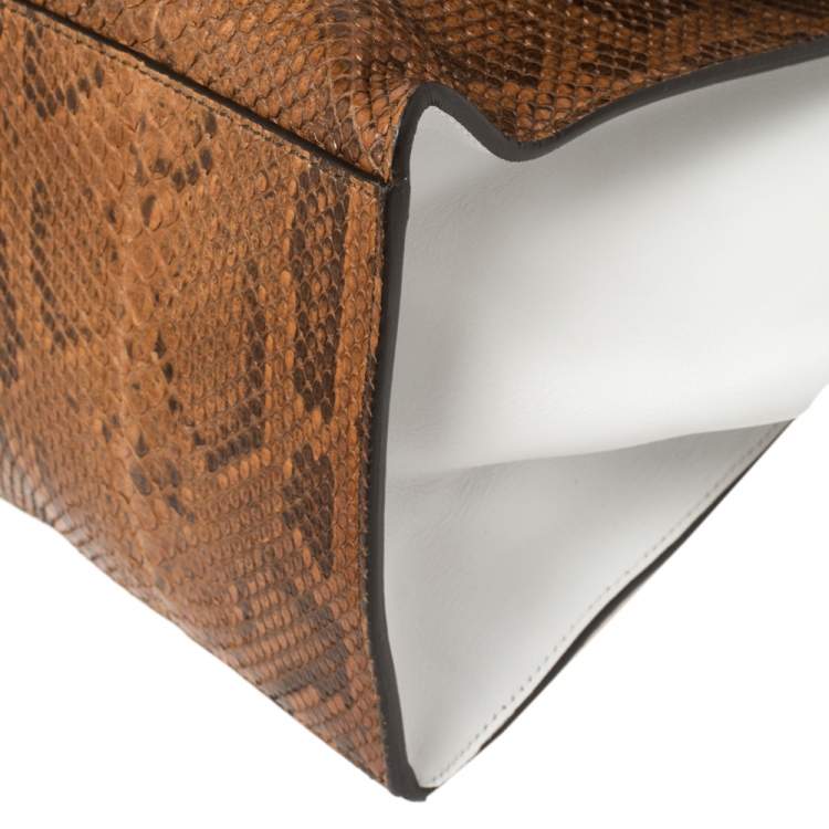 Pre Owned Celine Multicolor Python and Leather Medium Trapeze Bag