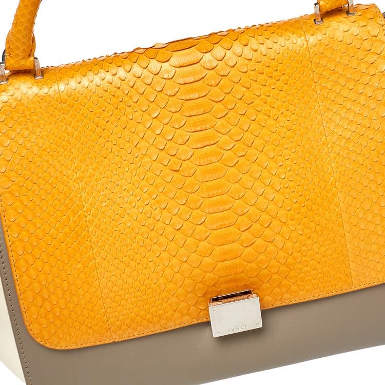 Pre Owned Celine Tri Color Leather and Python Medium Trapeze Top Handle Bag