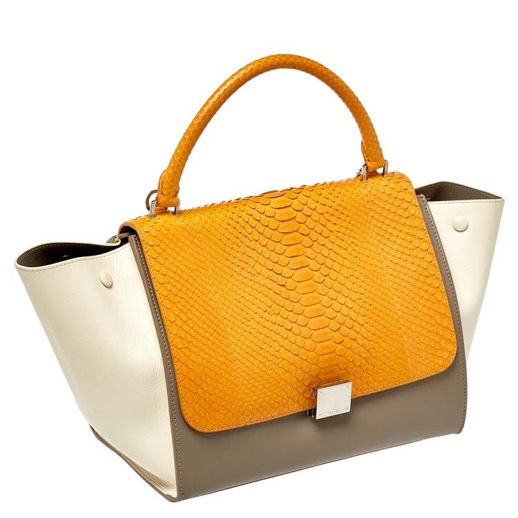 Pre Owned Celine Tri Color Leather and Python Medium Trapeze Top Handle Bag