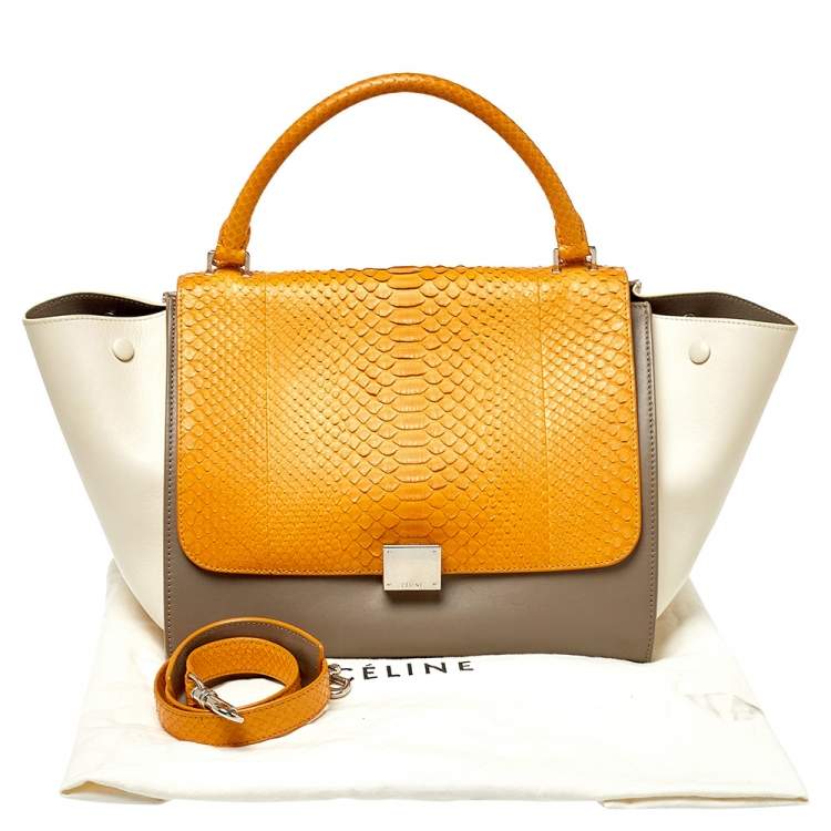 Pre Owned Celine Tri Color Leather and Python Medium Trapeze Top Handle Bag