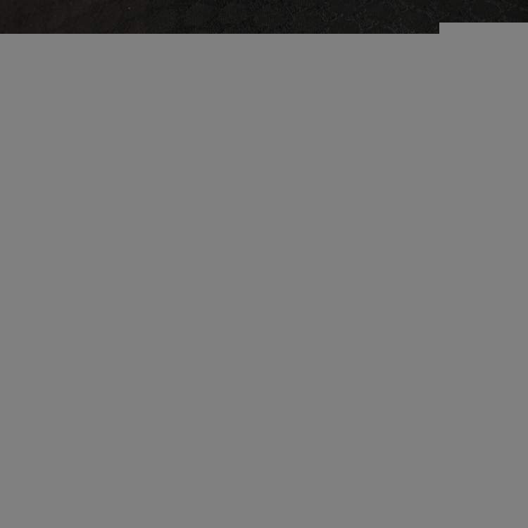 Pre Owned Celine Black Macadam Canvas Messenger Bag