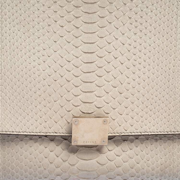 Pre Owned Celine Two Tone Grey Python and Suede Medium Trapeze Top Handle Bag