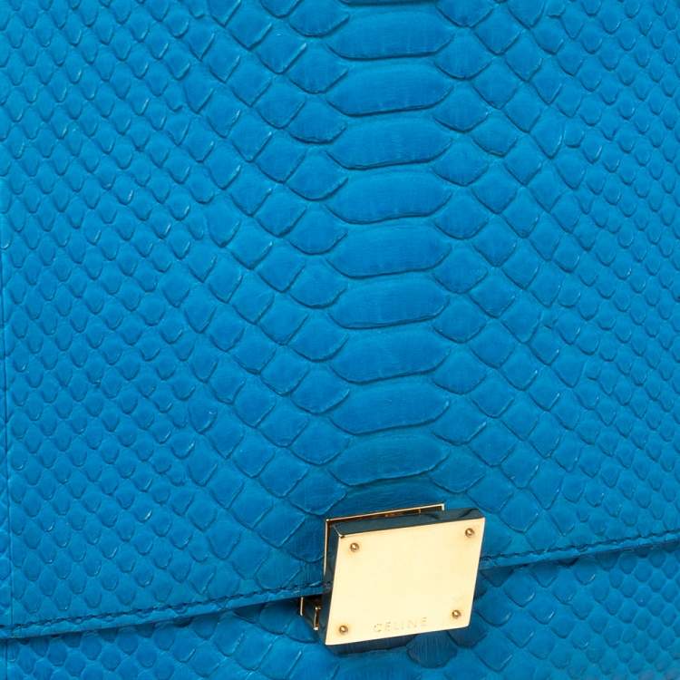 مملوكة مسبقًا Celine Blue Python and Suede Medium Trapeze Top Handle Bag