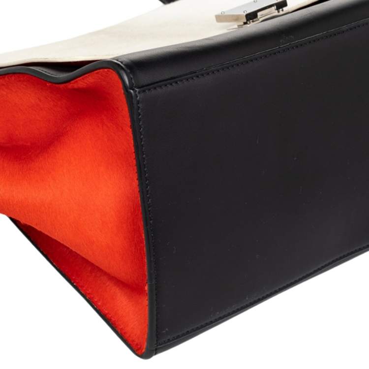 Pre Owned Celine Multicolor Calf Hair and Leather Medium Trapeze Top Handle Bag