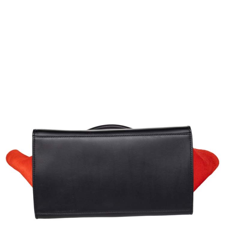 Pre Owned Celine Multicolor Calf Hair and Leather Medium Trapeze Top Handle Bag
