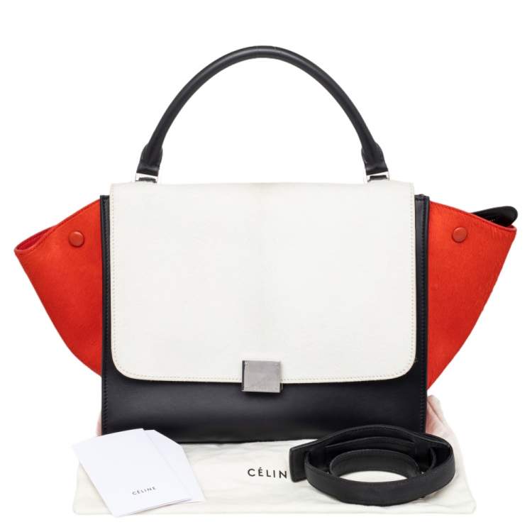 Pre Owned Celine Multicolor Calf Hair and Leather Medium Trapeze Top Handle Bag