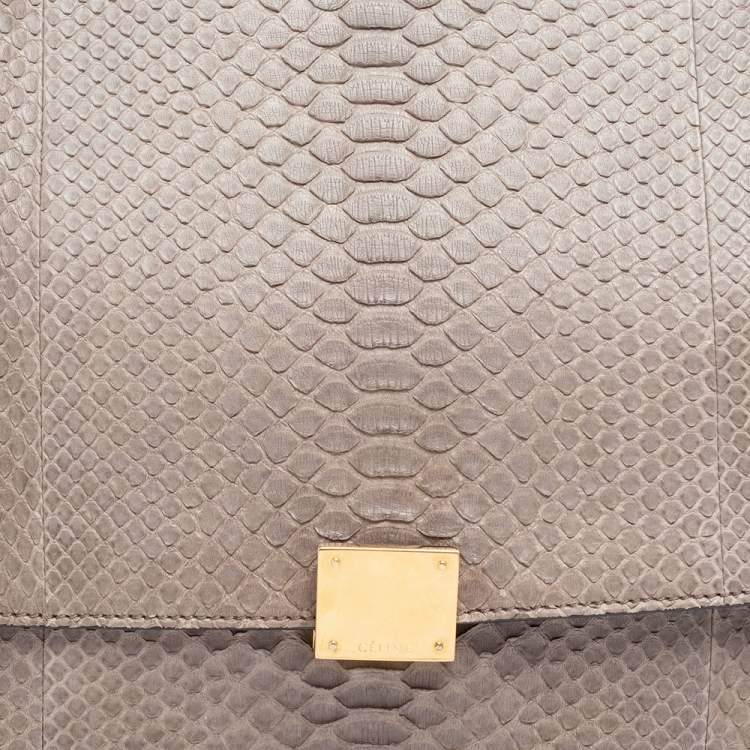 Pre Owned Celine Brown/Grey Python Leather And Suede Medium Trapeze Top Handle Bag