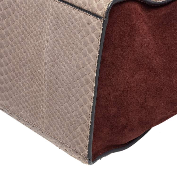Pre Owned Celine Brown/Grey Python Leather And Suede Medium Trapeze Top Handle Bag