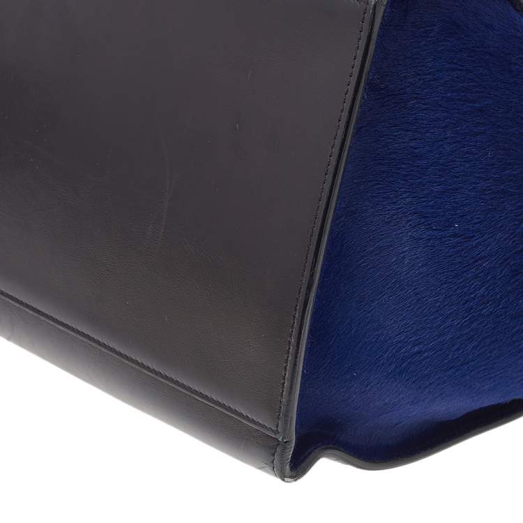 Pre Owned Celine Multicolor Calfhair and Leather Medium Trapeze Bag