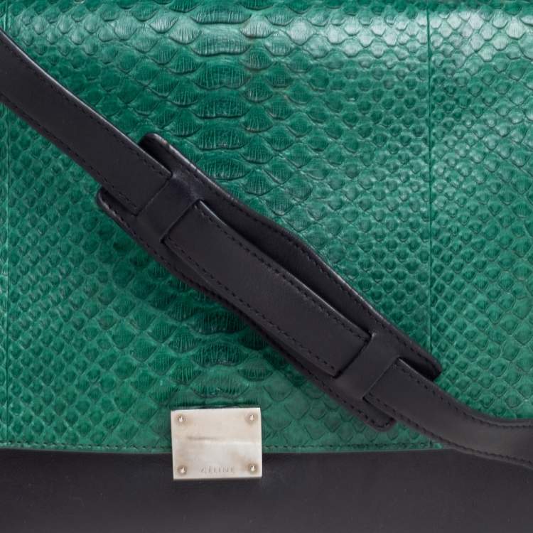 مملوكة مسبقًا Celine Tricolor Python and Leather Medium Trapeze Bag