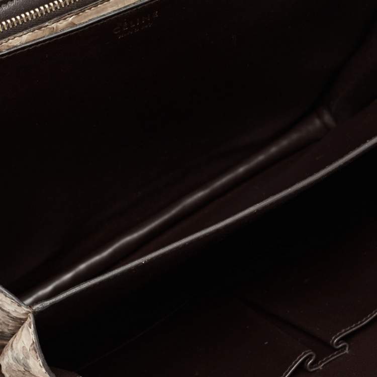 Pre Owned Celine Beige Python Medium Classic Box Shoulder Bag