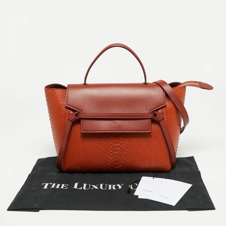 Pre Owned Celine Cinnamon Brown Leather and Python Micro Belt Bag