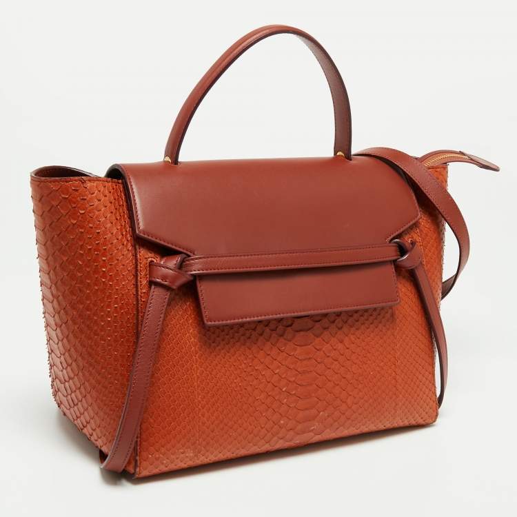Pre Owned Celine Cinnamon Brown Leather and Python Micro Belt Bag