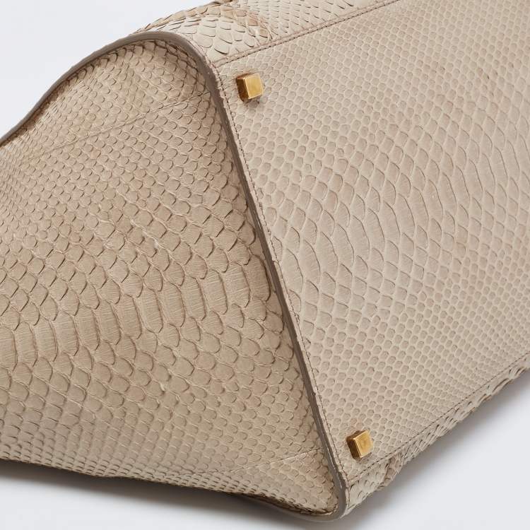 Pre Owned Celine Grey Python Mini Luggage Tote